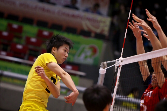 春の高校バレー　男子は鎮西、女子は金蘭会が優勝