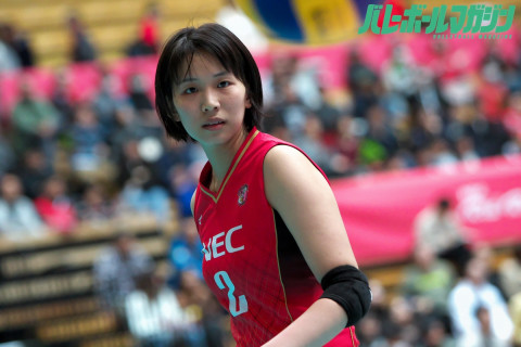 フォトギャラリー NECvs東レ NECvs久光製薬 V.LEAGUE DIVISION1 女子 2018.11.24・25 大田区総合体育館 サムネイル