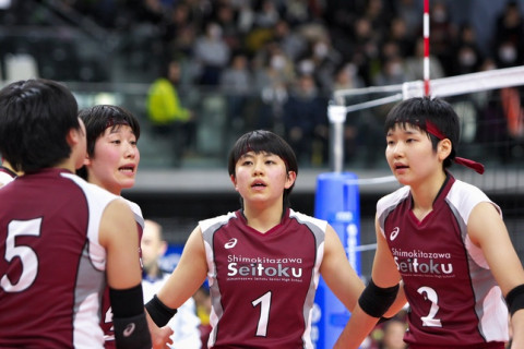 東レ（女子）　水杉玲奈（金蘭会）、石川真佑、野呂加南子、大崎琴未（下北沢成徳）の内定を発表 サムネイル