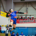 東レアローズ／小澤宙輝 選手