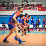 東レアローズ