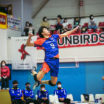 東レアローズ／富田将馬 選手