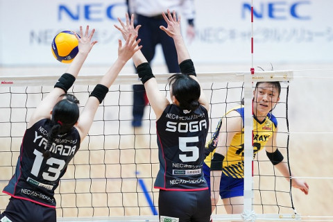 東レ・石川真佑「粘り強く、相手のディフェンスの強さに負けないくらい自分たちも攻めることができた」、NEC・古賀紗理那「積み上げてきたことを出せたところはよかった」　V1女子会見コメント サムネイル