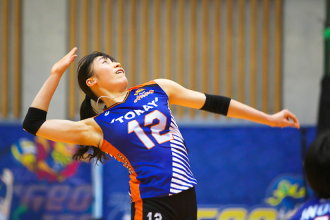 東レが埼玉上尾に3-1で勝ち、暫定1位に。トヨタ車体がPFUにフルセットで勝利し、9勝目　V1女子 サムネイル