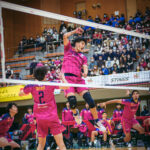 東京グレートベアーズ／小田嶋大貴 選手