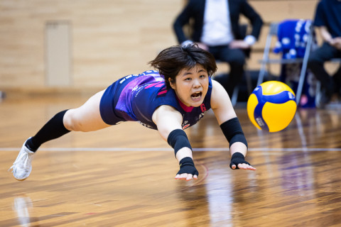 V2を席巻する姫路。開幕9連勝、失セット0で年内を終える。革新的バレーを目指すJAぎふが2連勝で3位をキープ 　V2女子 サムネイル