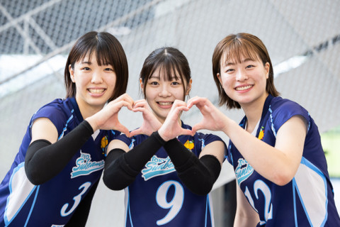 新生・東京サンビームズ　小泉海藍「色摩知巳さんに憧れています。プレーでチームを引っ張っていきたい」、大門莉珠「リベロとしてコースをしっかり読む」、根本七緒「バックアタックに挑戦中。パワー系なんです」 サムネイル