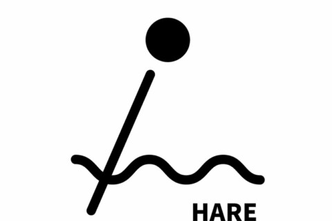 HARE株式会社がカノアラウレアーズ福岡と2025-26シーズンのスポンサー契約を締結 サムネイル